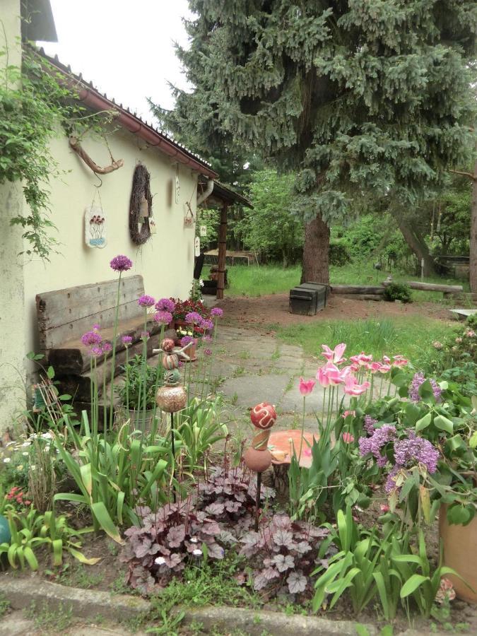 Linas Töpferhof Lägenhet Weißenfels Exteriör bild